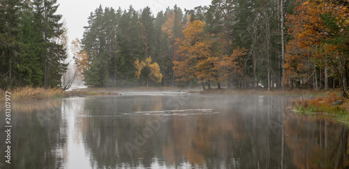 Swedish river and natural salmon area in autumn. Farnebofjarden national park in Sweden.