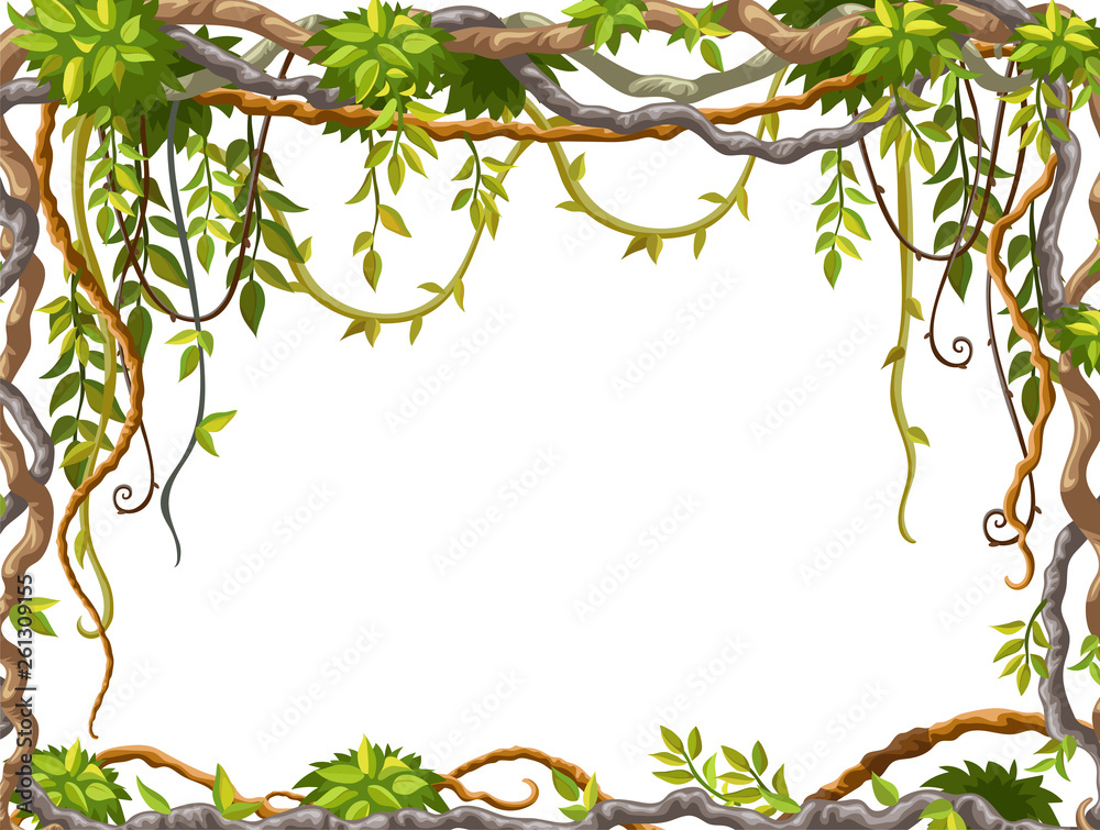 Liana branches and tropical leaves on white background. Cartoon frame plants of jungle with space for text. Isolated vector illustration. 