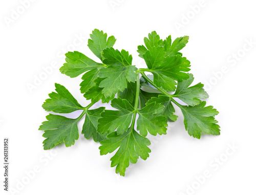 parsley isolated on white background. full depth of field