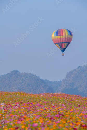 Hot air balloon over cosmos flowers with blue sky