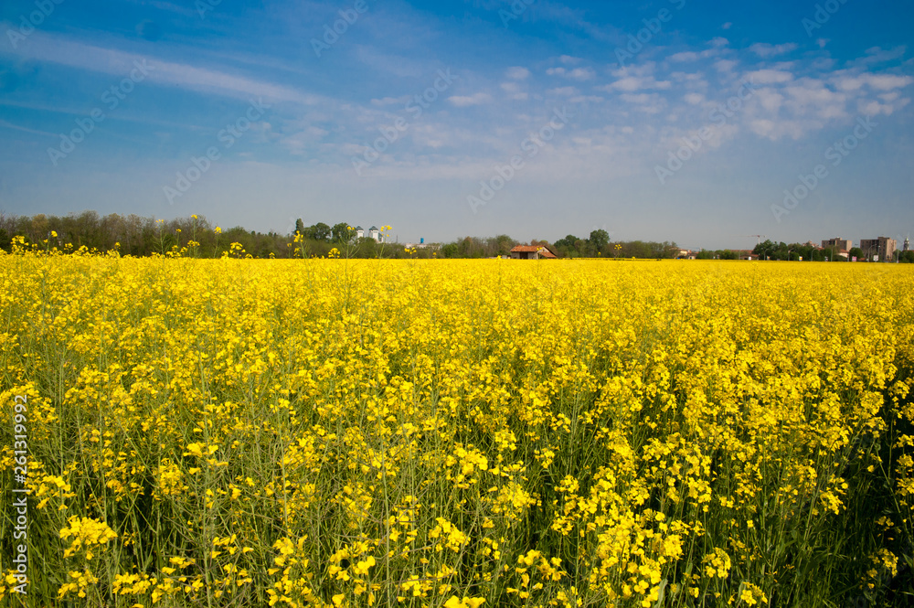 Panorama primaverile Panorama primaverile