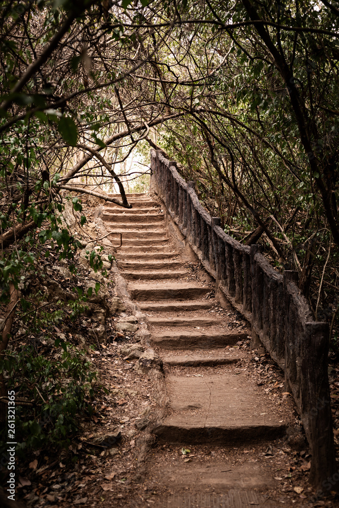 stairs in the jungle