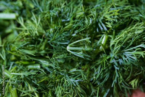 Chopped dill with water drops. Macro. 