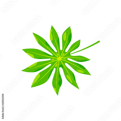 Fototapeta Naklejka Na Ścianę i Meble -  Tropical exotic leaf vector illustration. Design element isolated on white background. Flat style jungle plant.