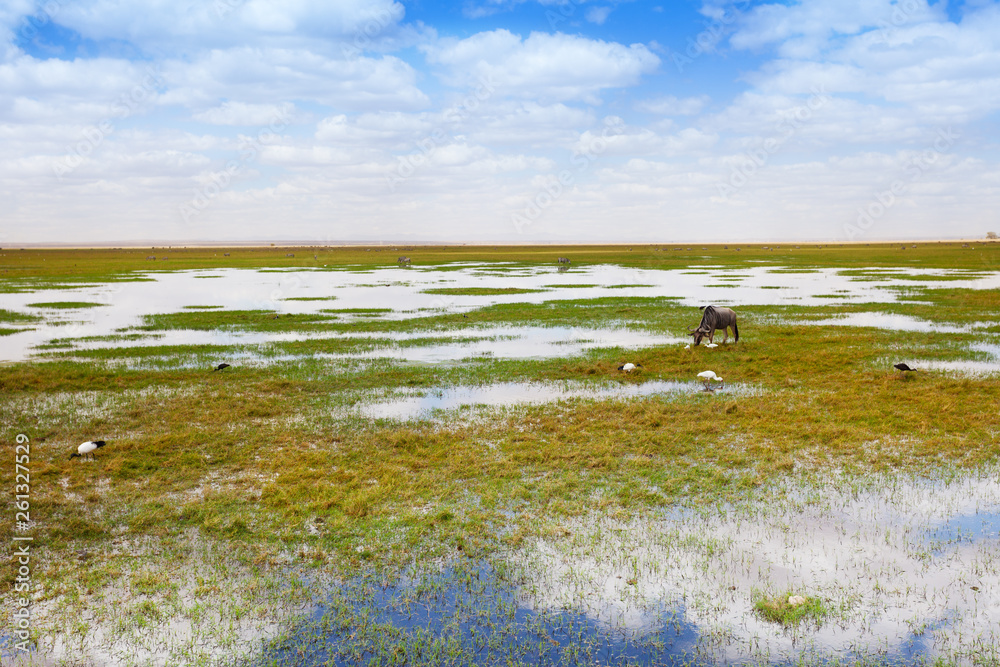 Landscape of a waterhole with drinking wildebeest