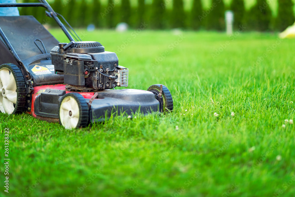 Lawn mower cutting green grass in sunlight Lawn mower cutting green grass in sunlight