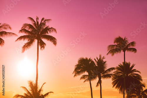 Tropical island sunset with silhouette of palm trees  hot summer day vacation background