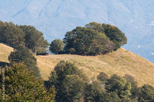 walk on the antola mountain in Italy on a sunny day photo