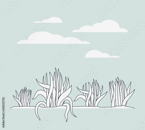 marine plants ecosystem scene