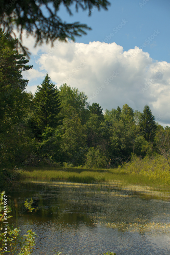 Obraz premium Landscape with forest lake