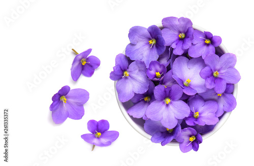 Violets in white bowl isolated on white background.