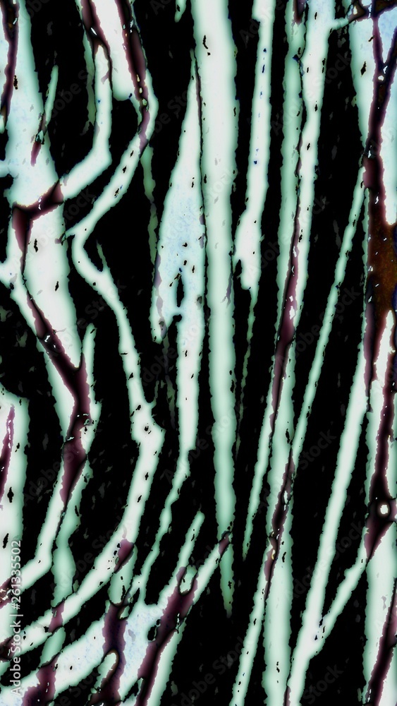 Grunge Texture Grunge Texture