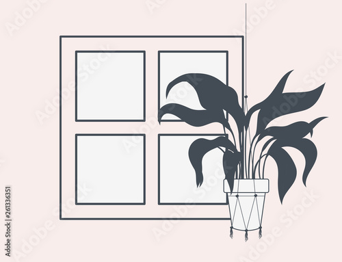 houseplant in macrame hanger with window