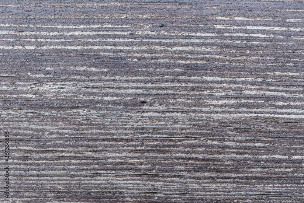 Grey wood background. Top view flatlay photography. Grey wood background. Top view flatlay photography.