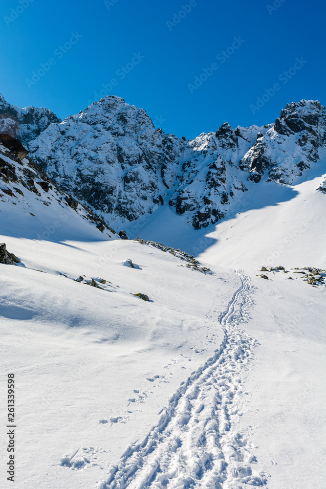 The path trodden in the snow by hikers and skiers.