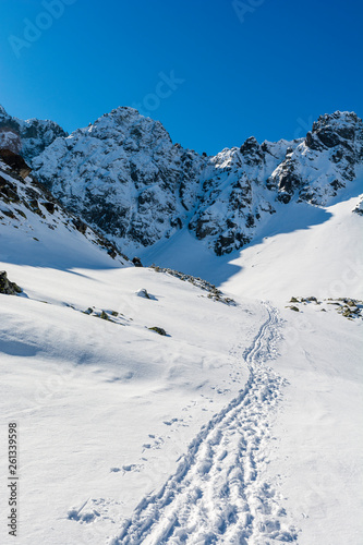 The path trodden in the snow by hikers and skiers.