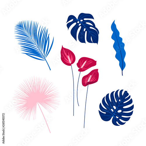 Tropical flowers and leaves