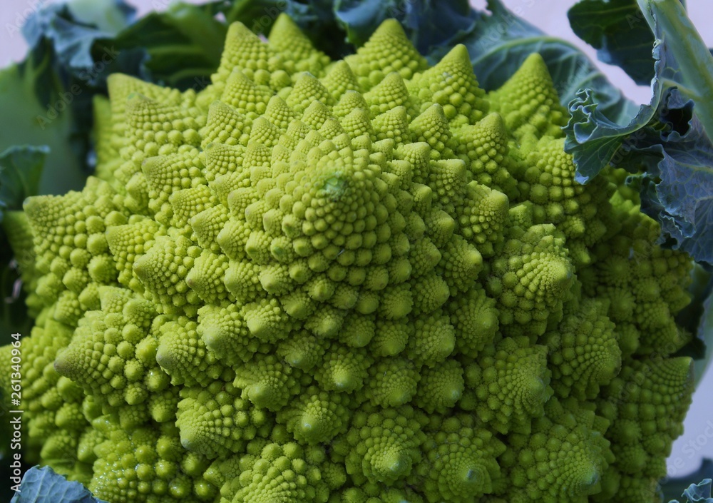 romanesco cauliflower romanesco cauliflower