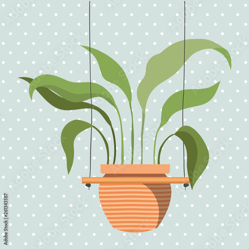 houseplant in macrame hangers