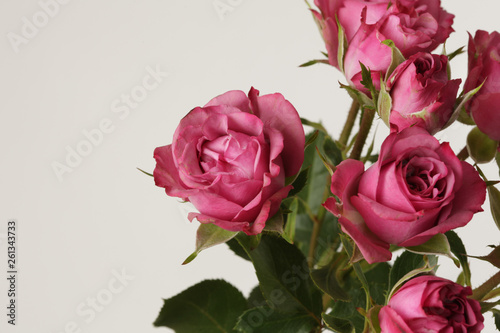 Red roses flower bouquet on light background.