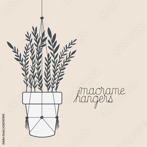 houseplant in macrame hangers