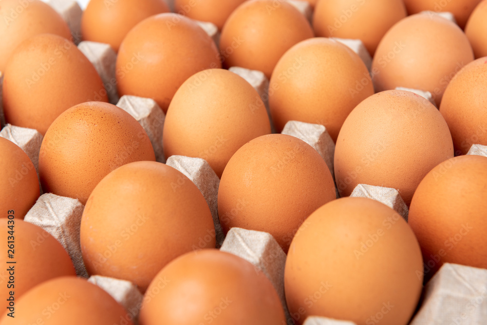Raw eggs in the tray isolated on white background. Raw eggs in the tray isolated on white background.