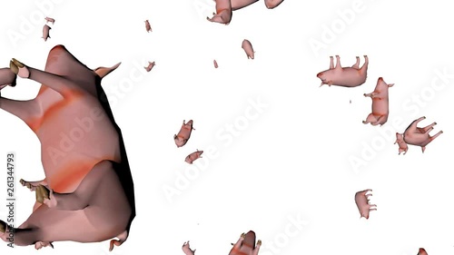 perfect loop of 3d rendering of a falling objects on a white background