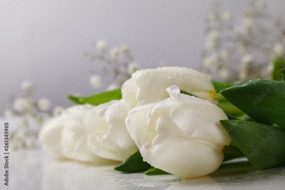 Bouquet of fresh white tulips covered with dew drops on white background. Tulip petals covered with water drops