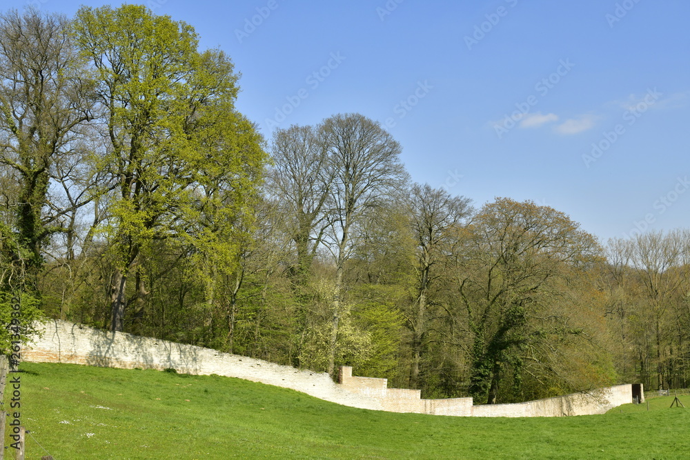 Partie restante du mur d'enceinte d'origine du domaine de l'abbaye du Rouge-Cloître ,entourant une zone boisée à Auderghem