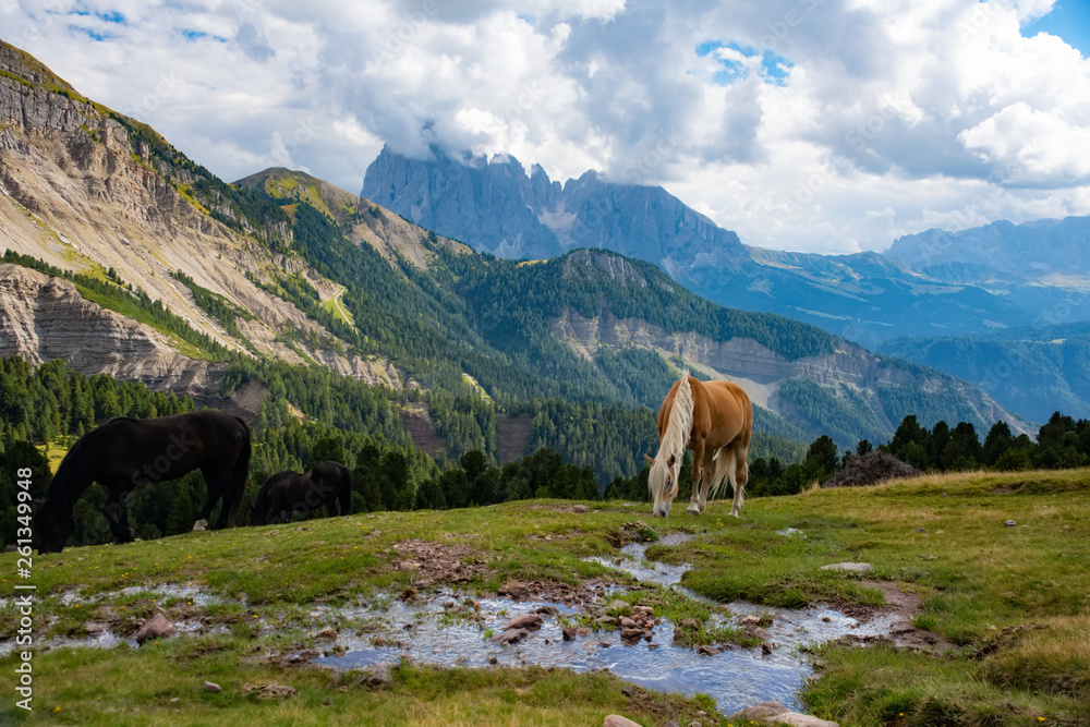 Horse over Dolomite landscape Geisler or Odle mountain Dolomites Group, Val di Funes, tourist region of Italy