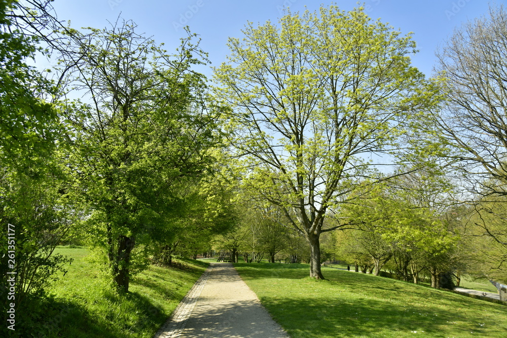 Chemin en gravier clair traversant le parc de l'abbaye du Rouge-Cloître à Auderghem