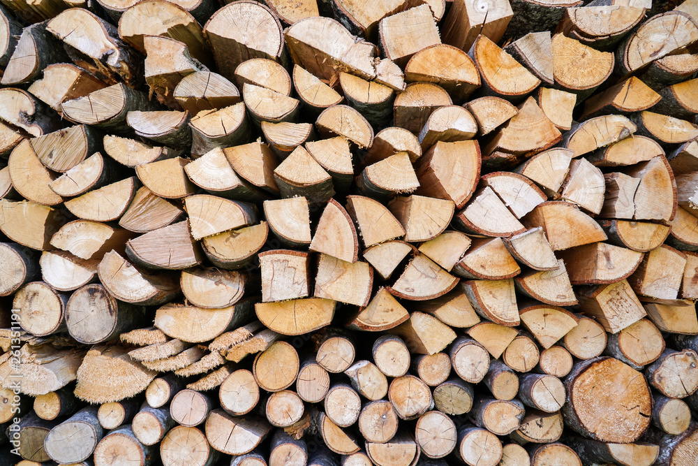 Pile of firewood.prepared to fireplace for the winter and use for cooking,firewood background,Stacks of firewood arranged in a row in the forest.Material for heating the house.Ecological natural fuel. Pile of firewood.prepared to fireplace for the winter and use for cooking,firewood background,Stacks of firewood arranged in a row in the forest.Material for heating the house.Ecological natural fuel.