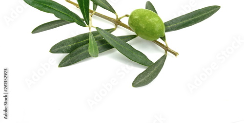 Wallpaper Mural Olive branch with green olives, isolated on white background Torontodigital.ca