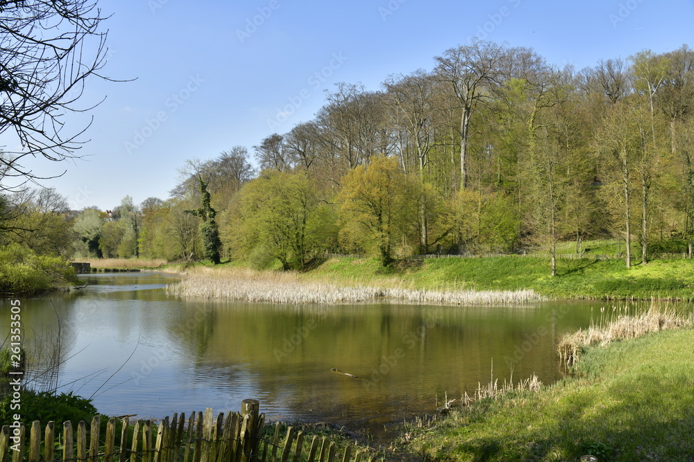 Le petit étang du Lange Gracht en pleine végétation luxuriante de la forêt de Soignes à l'abbaye du Rouge-Cloître à Auderghem