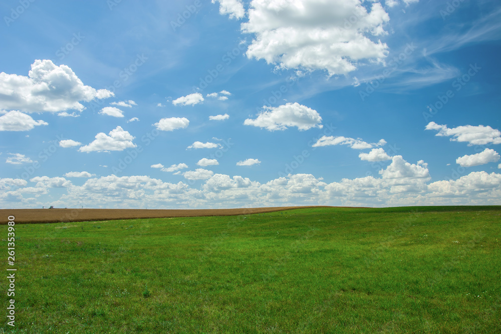 Big green field and white clouds on blue sky Big green field and white clouds on blue sky
