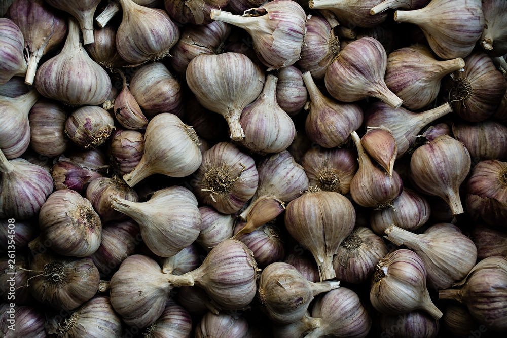 Garlic. A lot of garlic for planting. Purple garlic. Garlic. A lot of garlic for planting. Purple garlic.