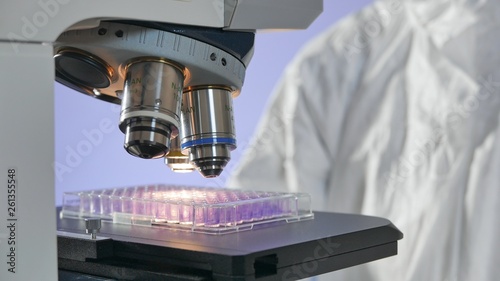 Researching vaccine to novel coronavirus 2019-nCoV. Installing a medical plate under the microscope for studying of pseudomonad and dangerous bacterias