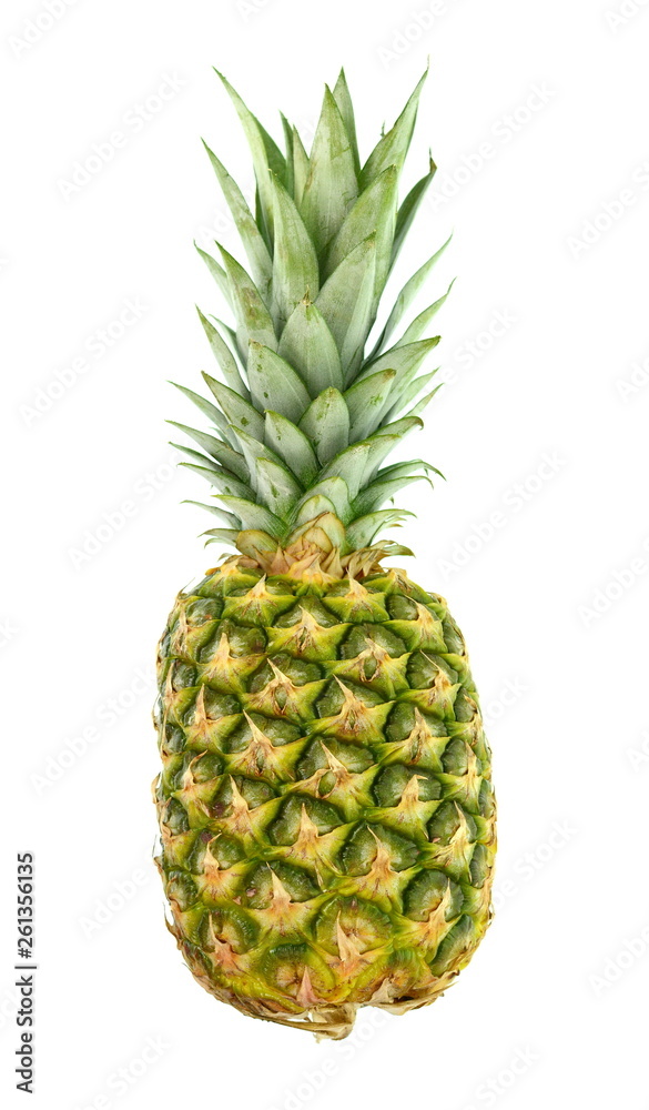Pineapple Isolated on White Background. Pineapple tropical fruit or ananas isolated on white background cutout. Pineapple Isolated on White Background. Pineapple tropical fruit or ananas isolated on white background cutout.