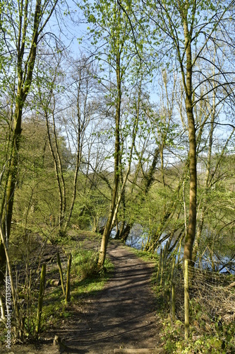 Chemin longeant le Grand-Etang des Clabots dans la végétation sauvage de la forêt de Soignes à Auderghem © Photocolorsteph