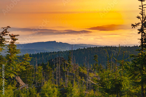 Spring landscape in the national park Sumava at sunset.