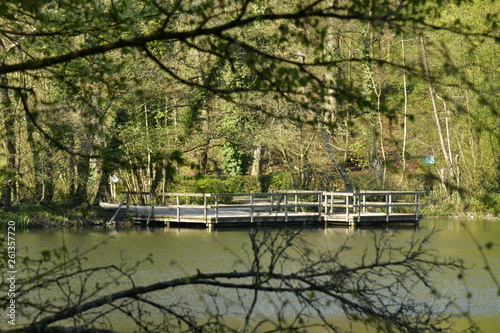 Ponton panoramique au Grand Etang des Clabots en forêt de Soignes à Auderghem photo