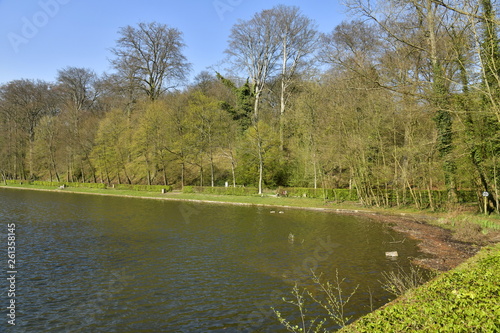 Les berges de l'étang du Moulin entouré par la végétation luxuriante de la forêt de Soignes à l'abbaye du Rouge-Cloître à Auderghem photo