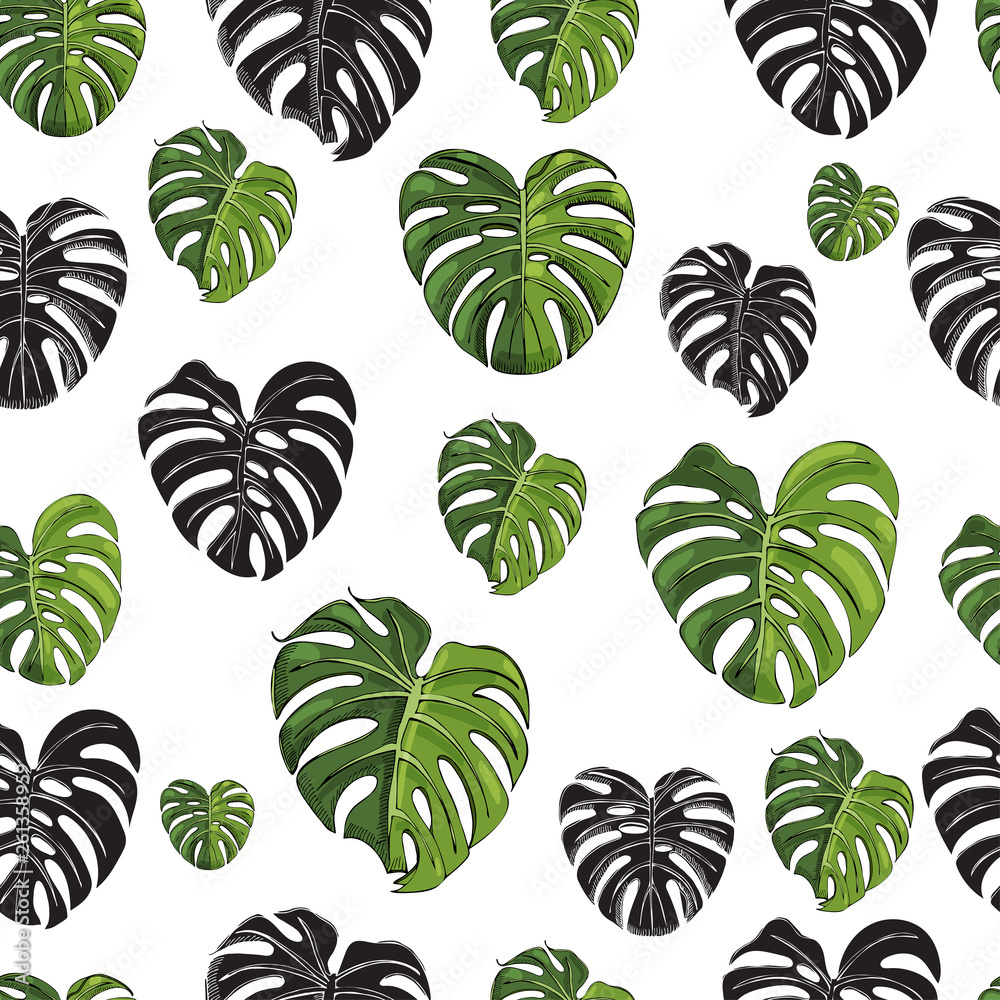 Seamless pattern with black silhouette and colored  monstera leaves isolated on white background. Hand drawn ink sketch.