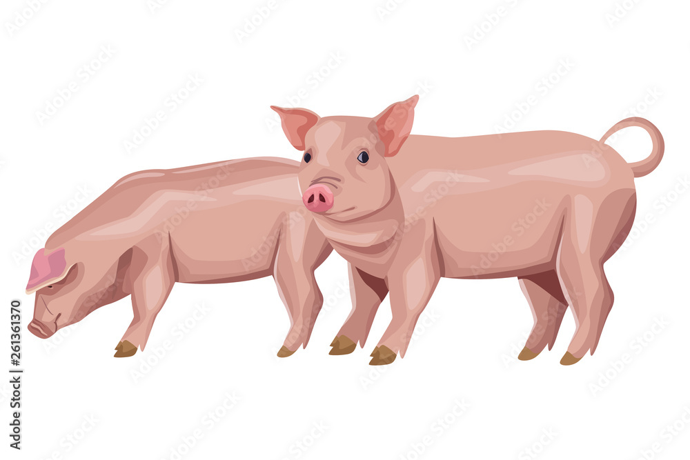 pig icon cartoon