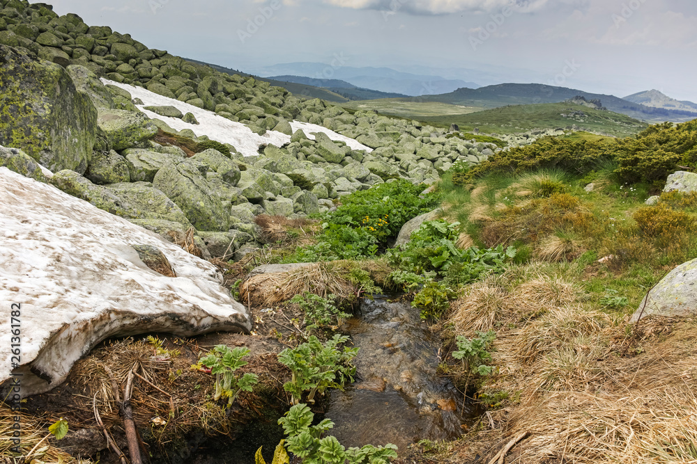 Fototapeta premium Summer Landscape near Cherni Vrah peak at Vitosha Mountain, Sofia City Region, Bulgaria