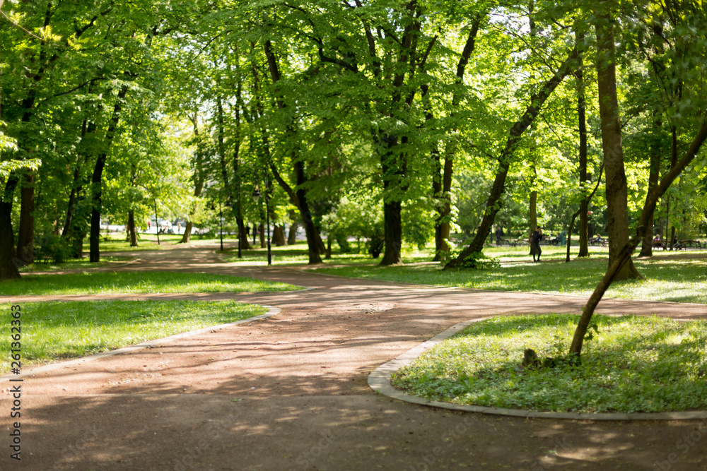 paths in the Park. spring square paths in the Park. spring square