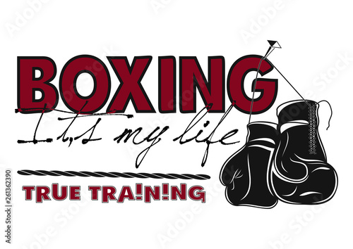True training_6_box_color