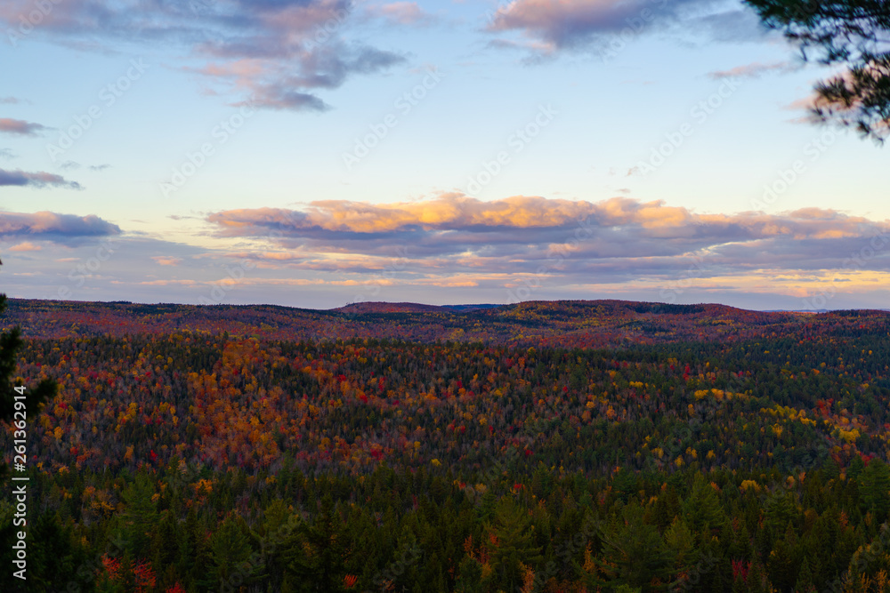 Obraz premium Obrigado