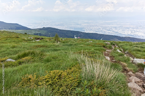 Summer Landscape near Cherni Vrah peak at Vitosha Mountain, Sofia City Region, Bulgaria