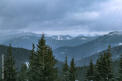 Sonny winter mountain forest
